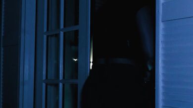 Sneaky Thieves! The Best of Burglars